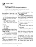 ASTM E2199-02 PDF
