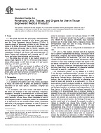ASTM F2210-02 PDF
