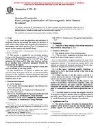 ASTM E570-97 PDF