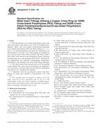 ASTM F2434-04 PDF