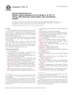 ASTM F1603-07 PDF