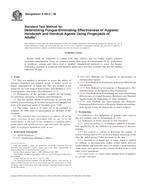 ASTM E2613-08 PDF