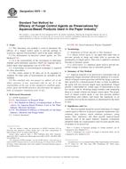 ASTM E875-10 PDF