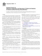 ASTM E2690-10 PDF