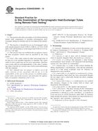 ASTM E2096/E2096M-10 PDF