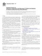 ASTM E2690-10e1 PDF