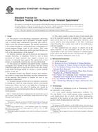 ASTM E740/E740M-03(2010)e1 PDF