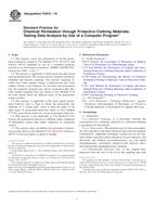 ASTM F2815-10 PDF
