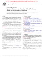 ASTM E2579-11 PDF