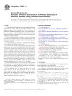 ASTM E2863-11 PDF