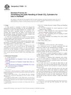 ASTM F2856-12 PDF