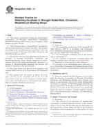 ASTM G209-12 PDF