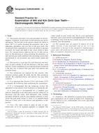 ASTM E2905/E2905M-12 PDF ASTM E2905/E2905M-12 PDF