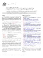 ASTM F2945-12a PDF
