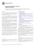 ASTM E2869-13 PDF