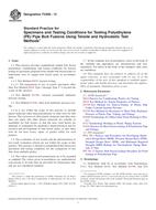 ASTM F2928-13 PDF