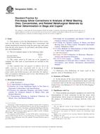 ASTM E2295-13 PDF