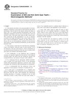 ASTM E2905/E2905M-13 PDF ASTM E2905/E2905M-13 PDF