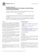 ASTM F2773-13 PDF