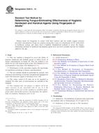 ASTM E2613 PDF