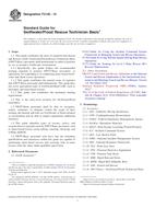ASTM F3145-15 PDF