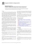 ASTM E740/E740M PDF