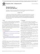 ASTM F2940-13(2017) PDF