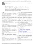ASTM E2690-17 PDF