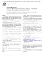 ASTM E2690-17a PDF