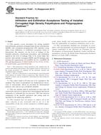 ASTM F2487-13(2017) PDF