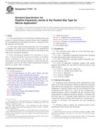 ASTM F1007 PDF