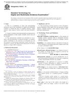 ASTM E2916-19 PDF
