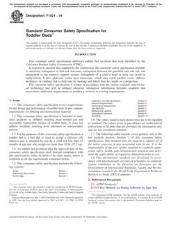 ASTM F1821-19 PDF