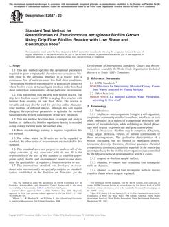 ASTM E2647 PDF ASTM E2647 PDF