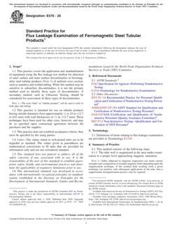 ASTM E570 PDF