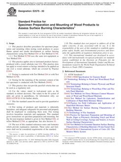 ASTM E2579-20 PDF