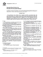 ASTM F2165-02 PDF