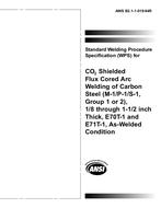 AWS B2.1-1-019:1994 PDF