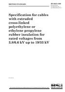 BS 6622:1999 PDF
