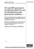 BS 7870-8.2 PDF BS 7870-8.2 PDF