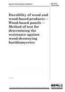 BS DD ENV 12038 PDF
