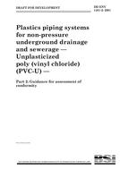 BS DD ENV 1401-2:2001 PDF