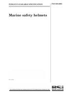 BS PAS 028 PDF