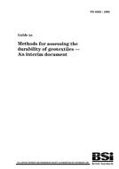 BS PD 6533 PDF