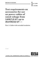 BS 7888-4.1:2006 PDF
