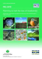 BS PAS 2010 PDF