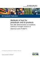 BS 2000-306 PDF