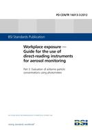 BS PD CEN/TR 16013-3 PDF
