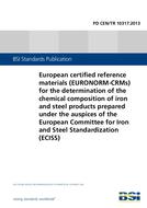 BS PD CEN/TR 10317:2013 PDF