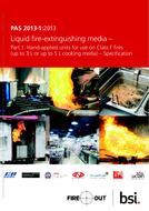 BS PAS 2013-1 PDF